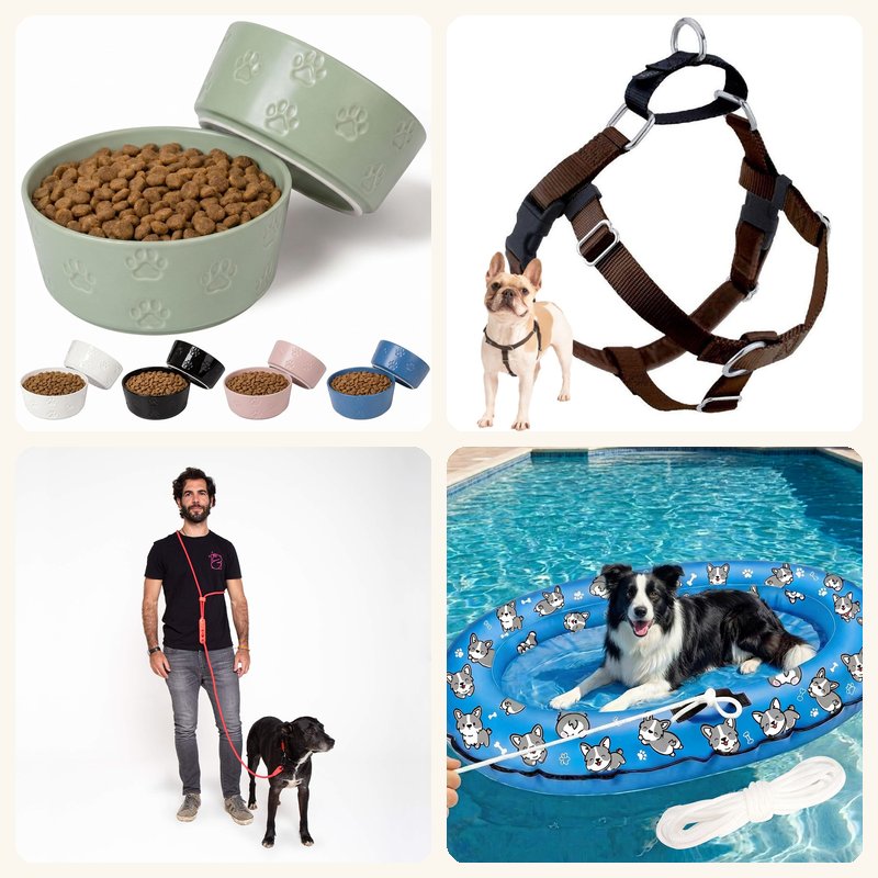 Everything your dog actually needs collage